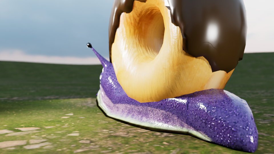 Donut Snail back view