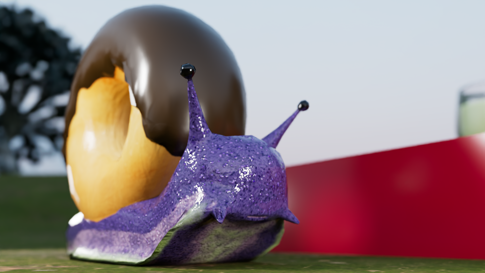 Donut Snail front view