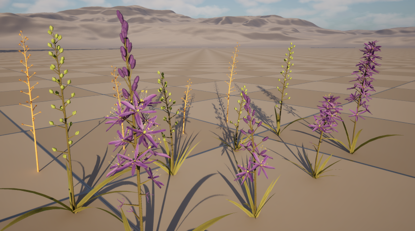 12 camas meshes in Unreal Engine; created from four seeds in spring, summer, and fall variants