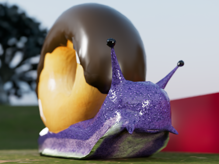 Donut Snail front view